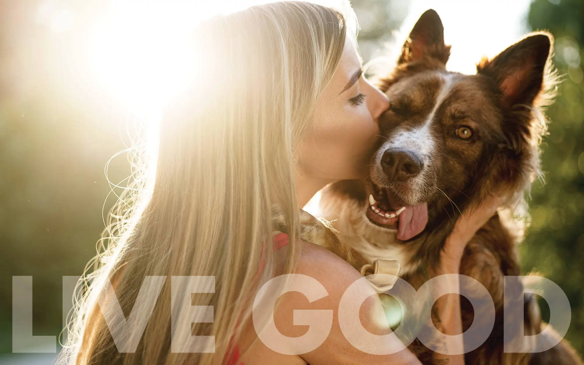 website banner 1920x1200 signoff options 16_5_264